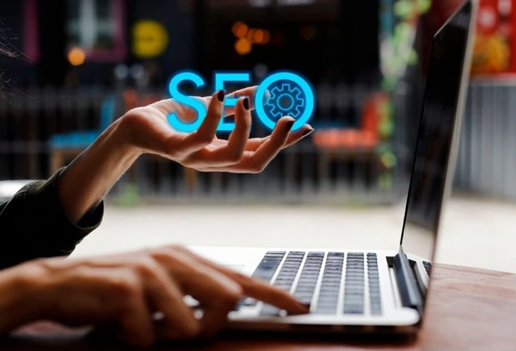 Armutlu Web Site Tasarımcı